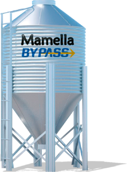 Mamella By Pass 20%