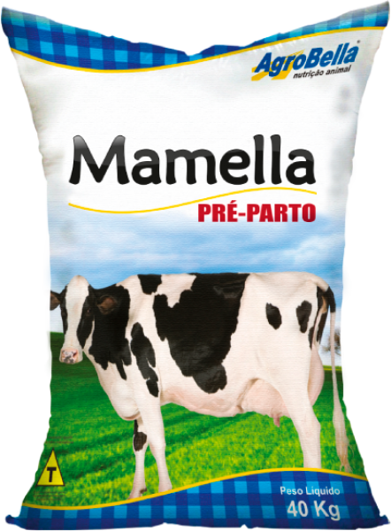 Mamella Pré-Parto 