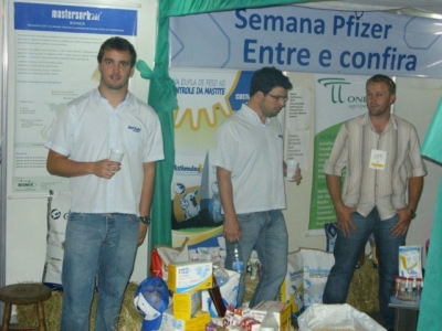 FEIRA EM TRÊS PALMEIRAS
