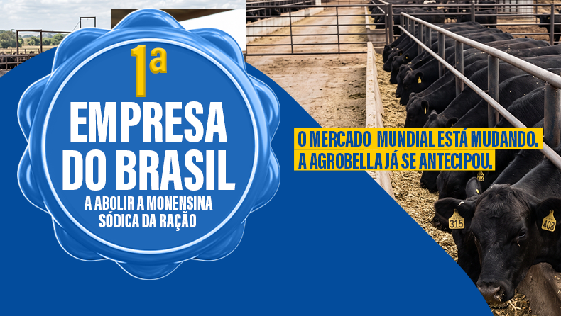 AgroBella se adapta às novas exigências do mercado internacional