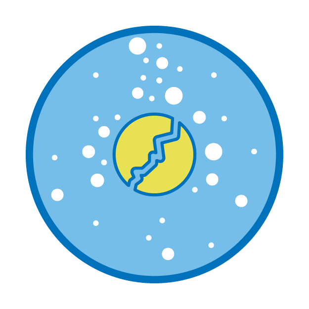 Vitaminas Hidrossolúveis