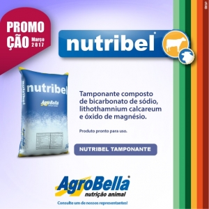 MÊS PROMOÇÃO NUTRIBEL